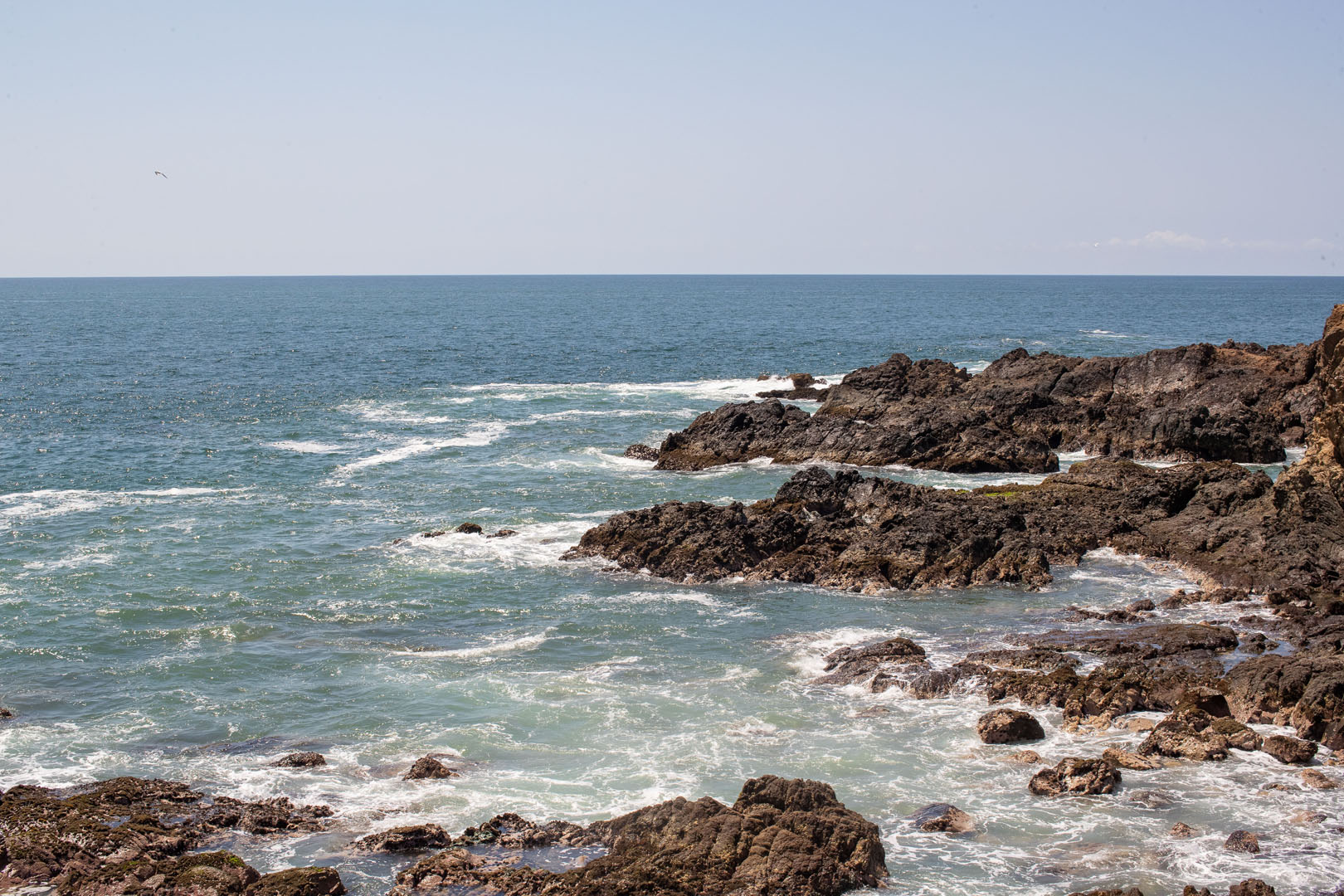 Caleta De Campos - Michoacán, El Alma De México | Visit Michoacan - imagen 3