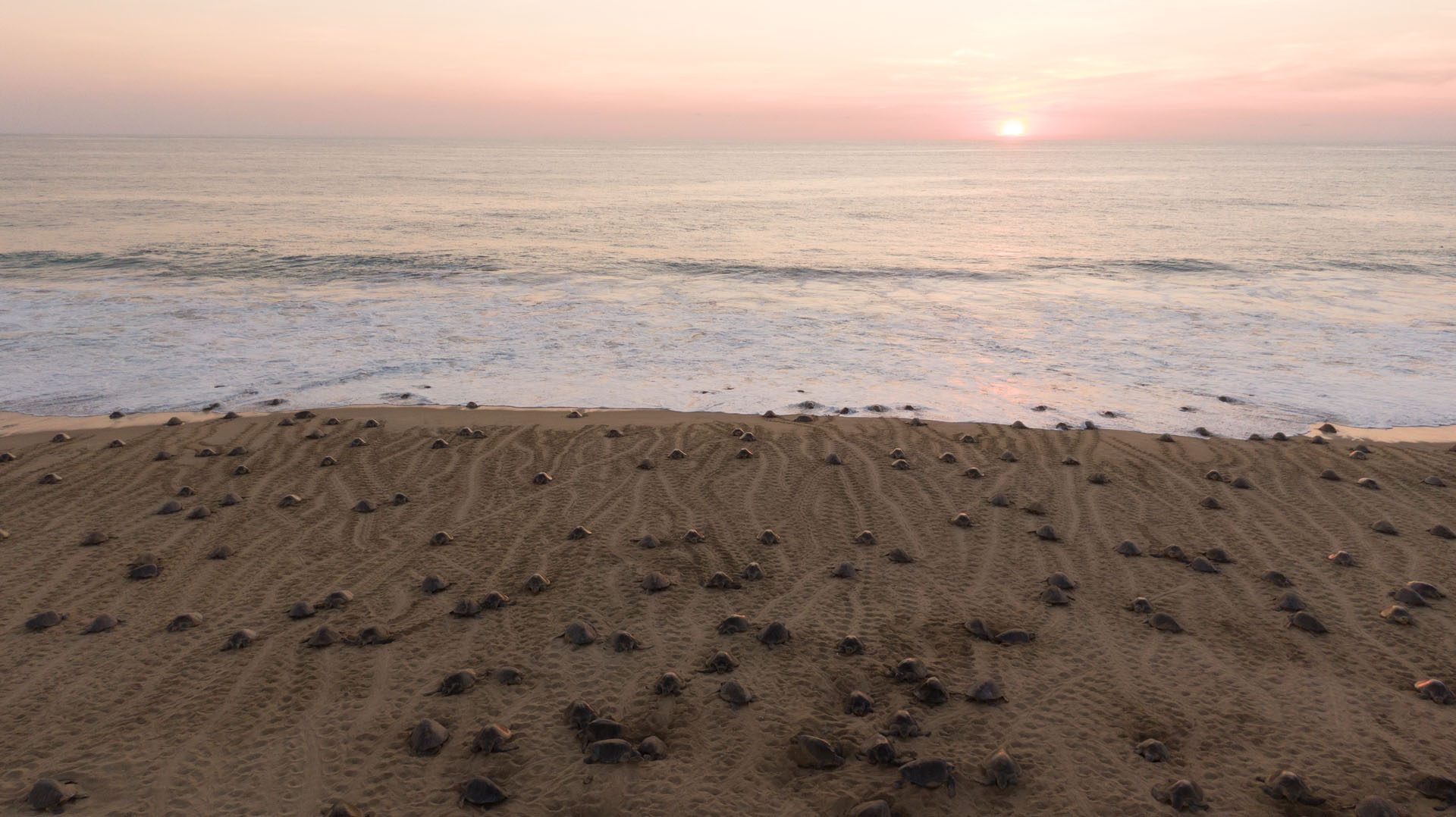 Ixtapilla - Michoacán, El Alma De México | Visit Michoacan - imagen 2