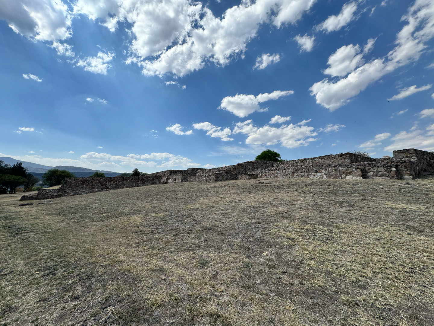 La Nopalera