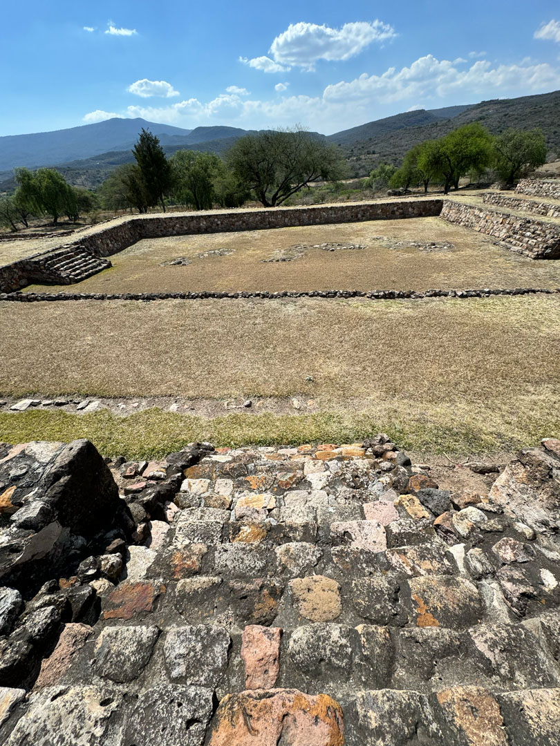 Tortuga Golfina