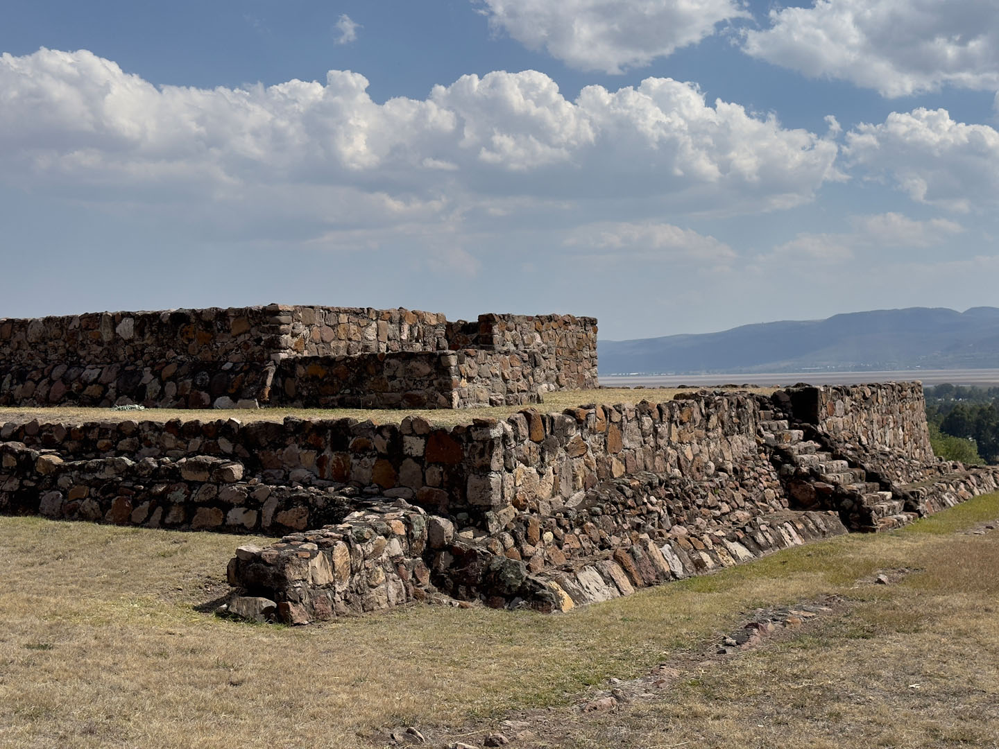 La Nopalera