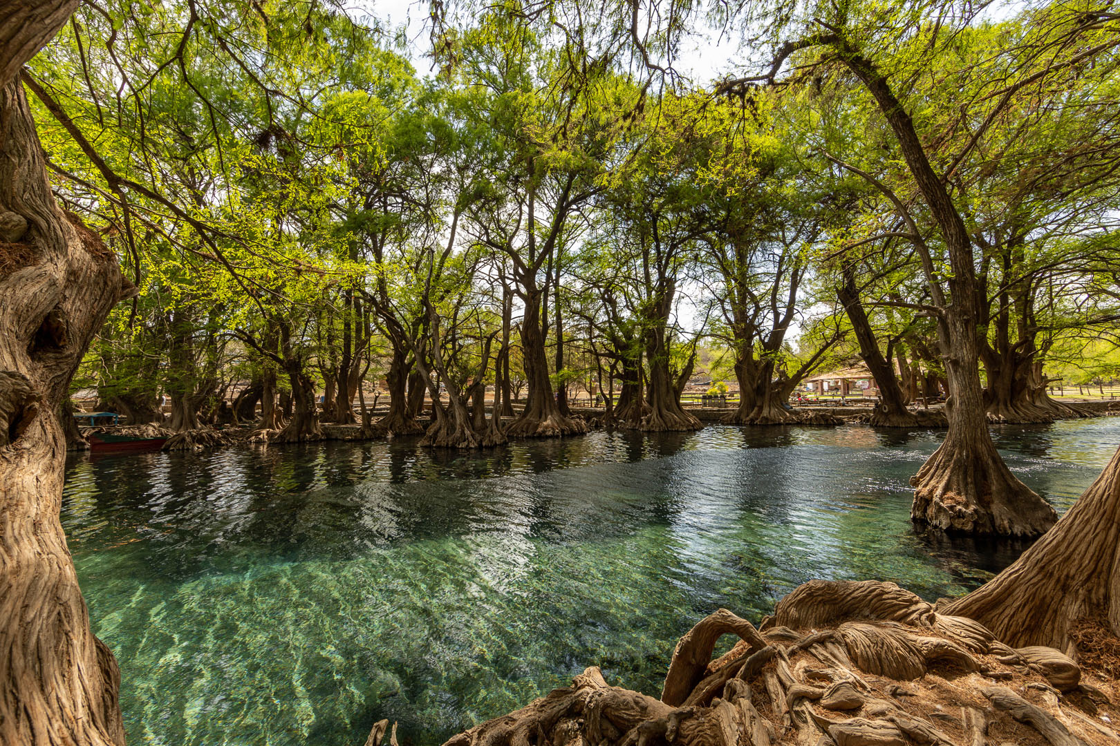 Lago De Camécuaro - Michoacán, El Alma De México | Visit Michoacan - imagen 1