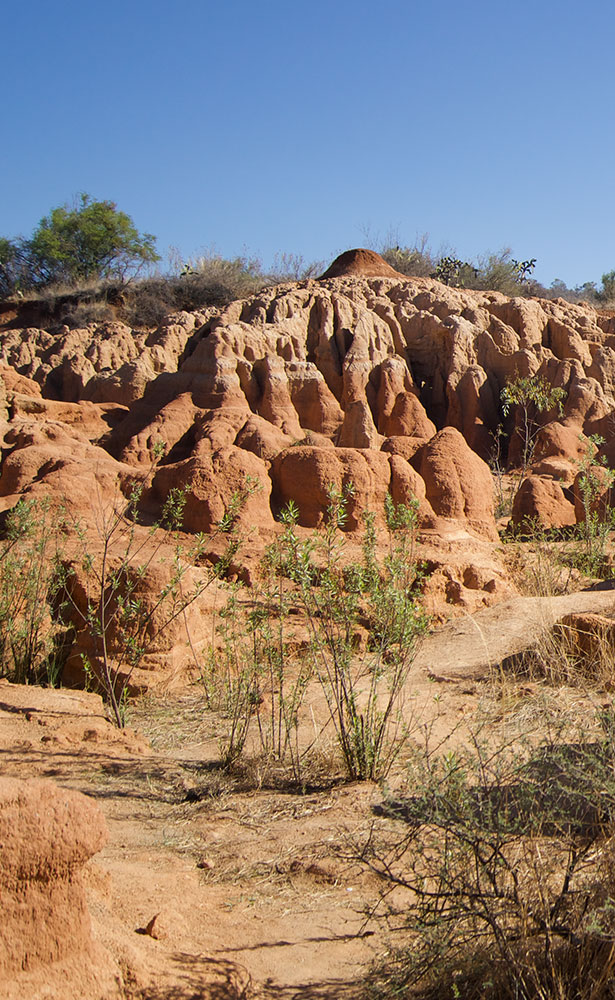 Los Piloncillos - Michoacán, El Alma De México | Visit Michoacan - imagen 2