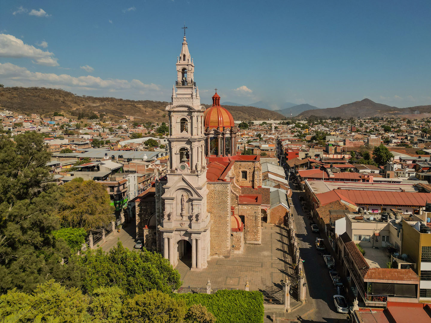 Cotija 1