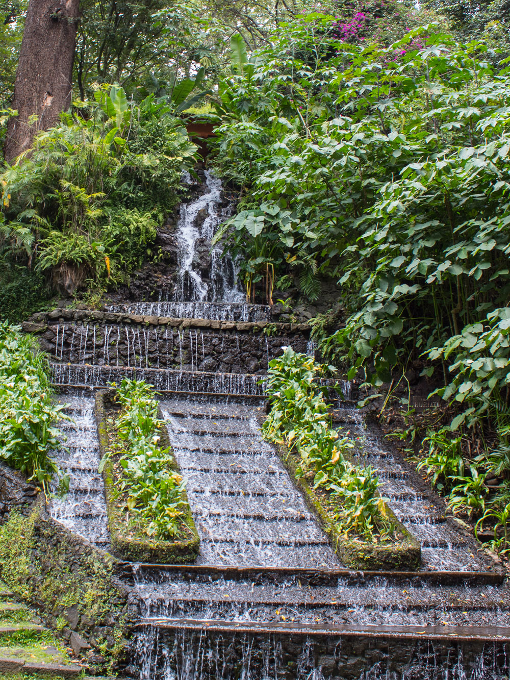 Historia y Naturaleza en Uruapan 3